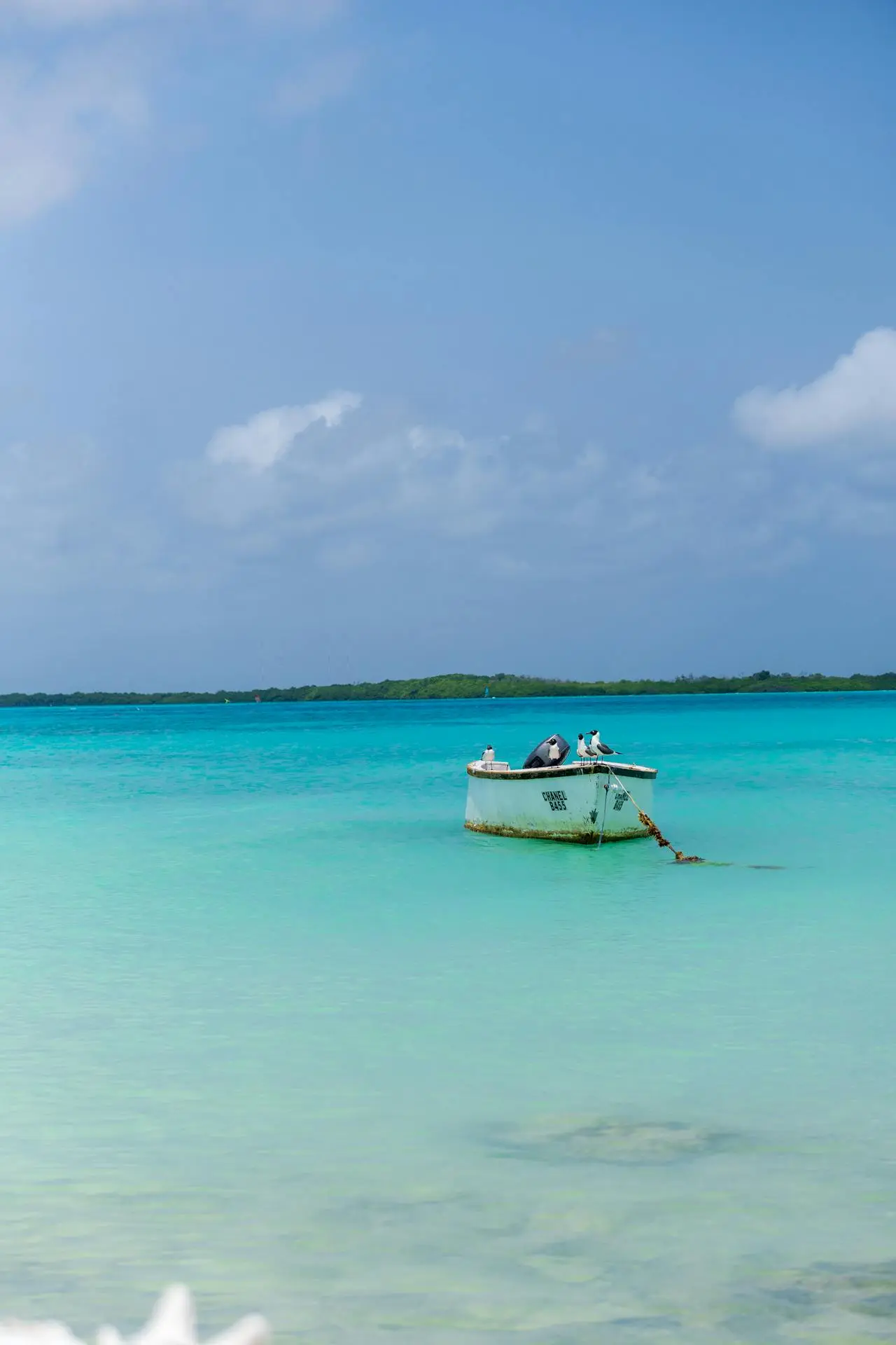 The Caribbean